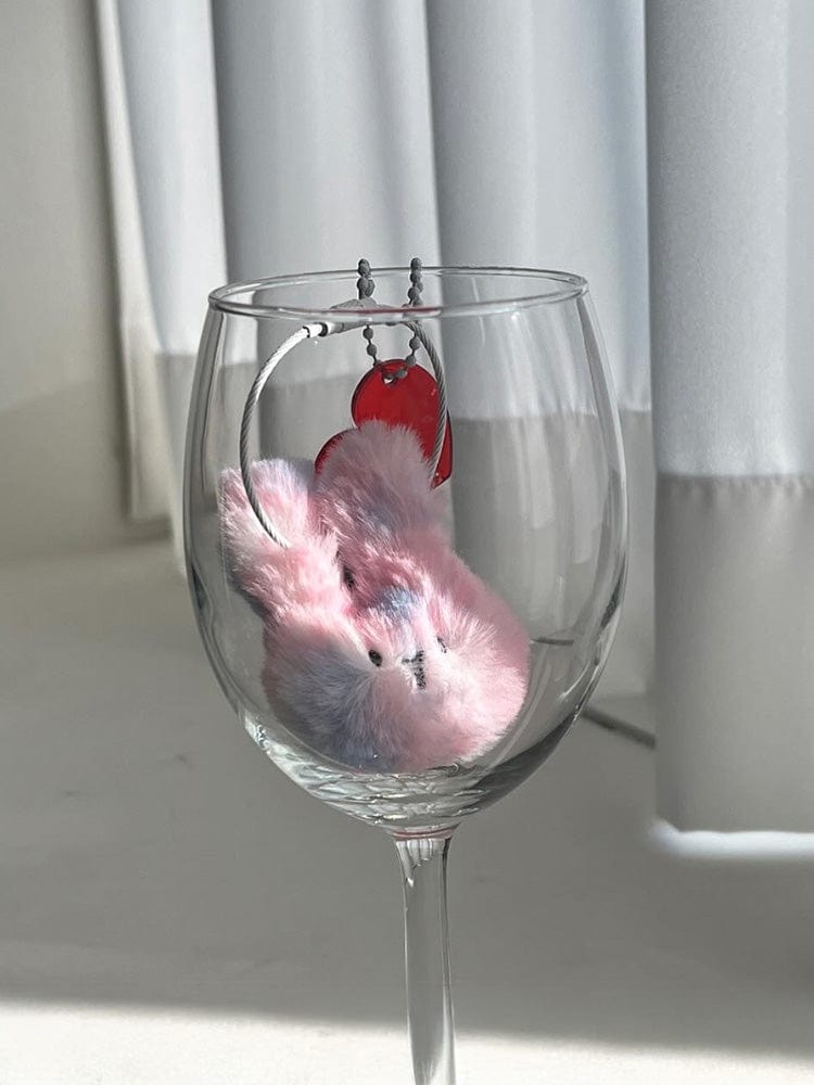 AB FAB KEYRING 에이비 페브 미니 버니 키링