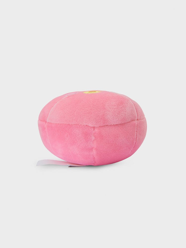 BT21 CUSHION TATA 라인프렌즈 BT21 TATA BABY 얼굴 쿠션 (S)