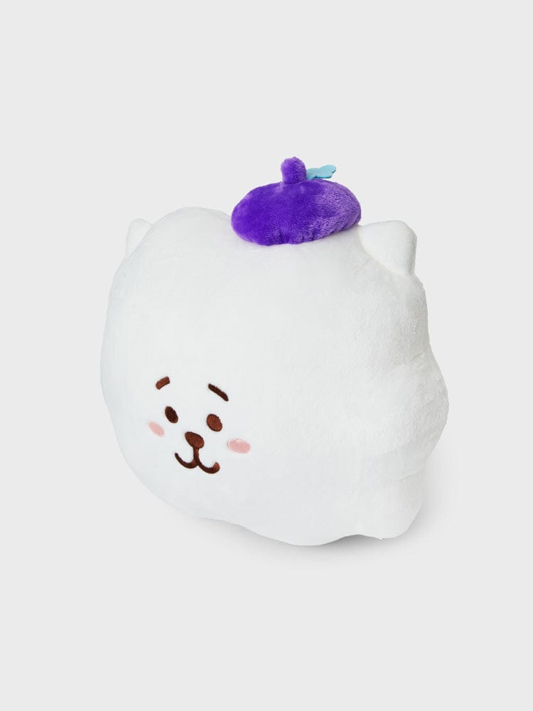 BT21 PLUSH RJ 라인프렌즈 BT21 RJ 홉인럽 얼굴 쿠션