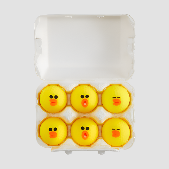 LINE FRIENDS OUTDOORS SALLY 샐리 골프공 세트 (6개입)