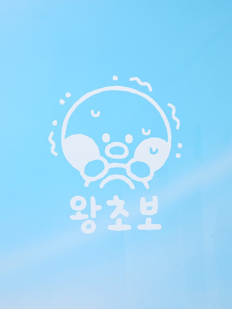 LINE FRIENDS STICKER/CARD 단품 라인프렌즈 미니니 윈터월드 샐리니 차량용 초보 운전 스티커