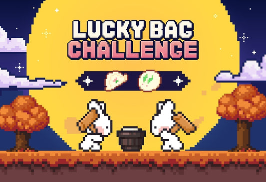 LUCKY BAG CHALLENGE