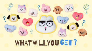 Surprise Random Picks