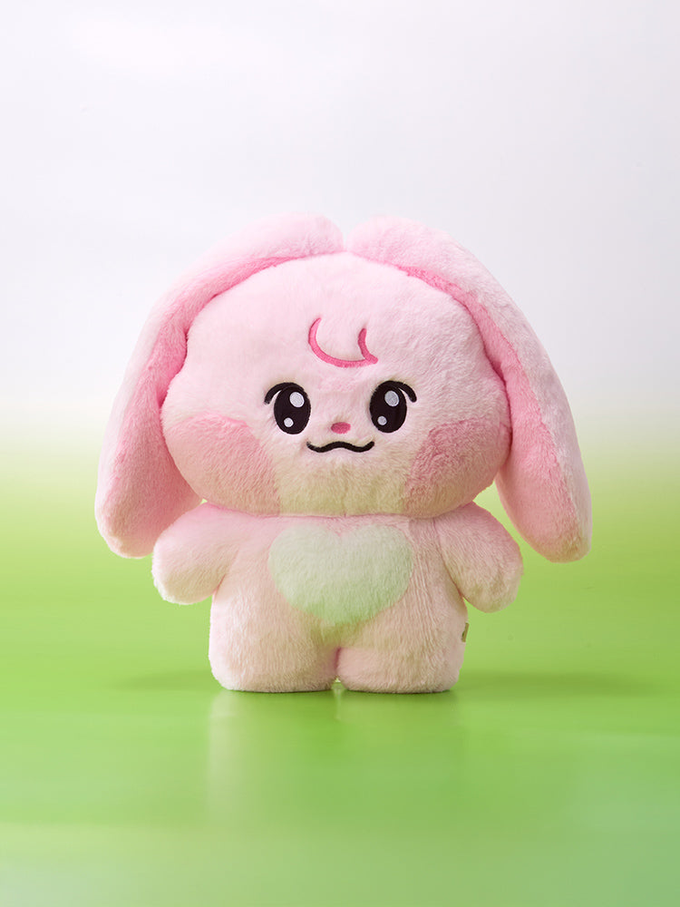 NCT DREAM 드리미즈 대형 플랫 쿠션