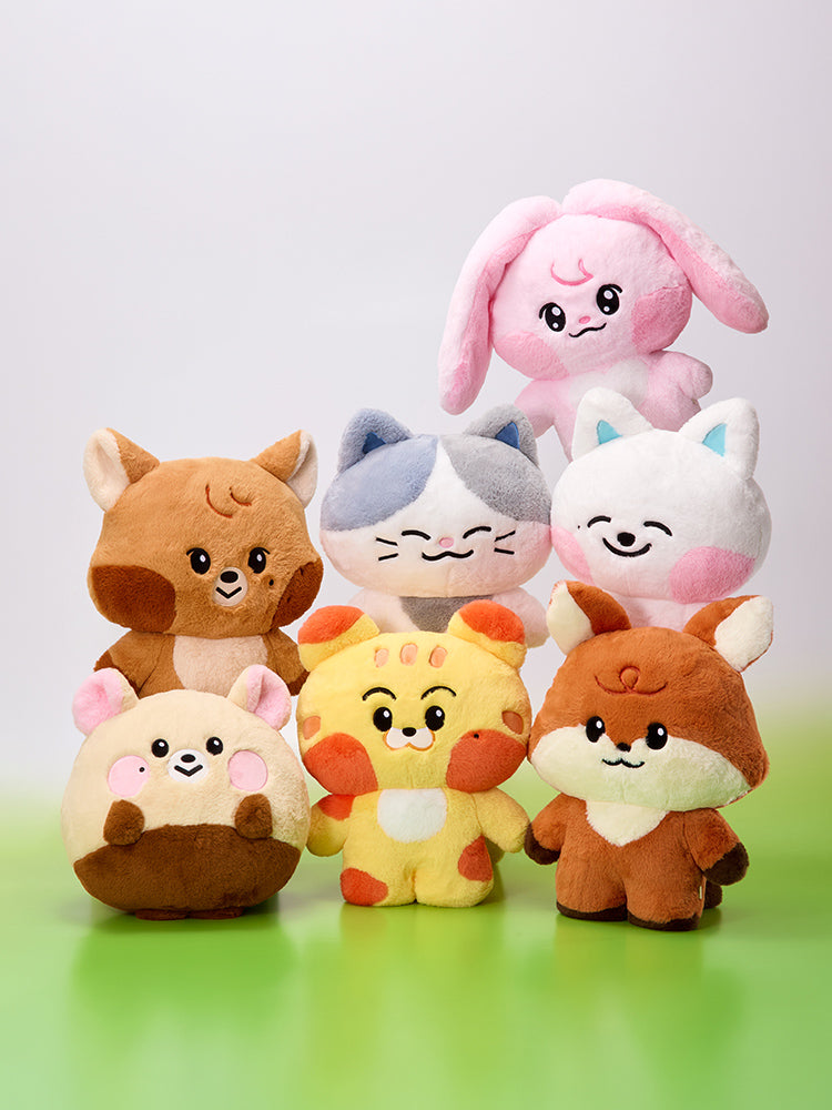 NCT DREAM 드리미즈 대형 플랫 쿠션