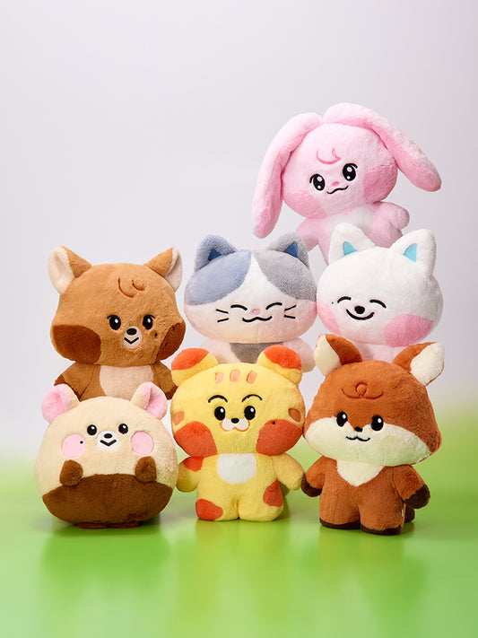 NCT DREAM 드리미즈 대형 플랫 쿠션