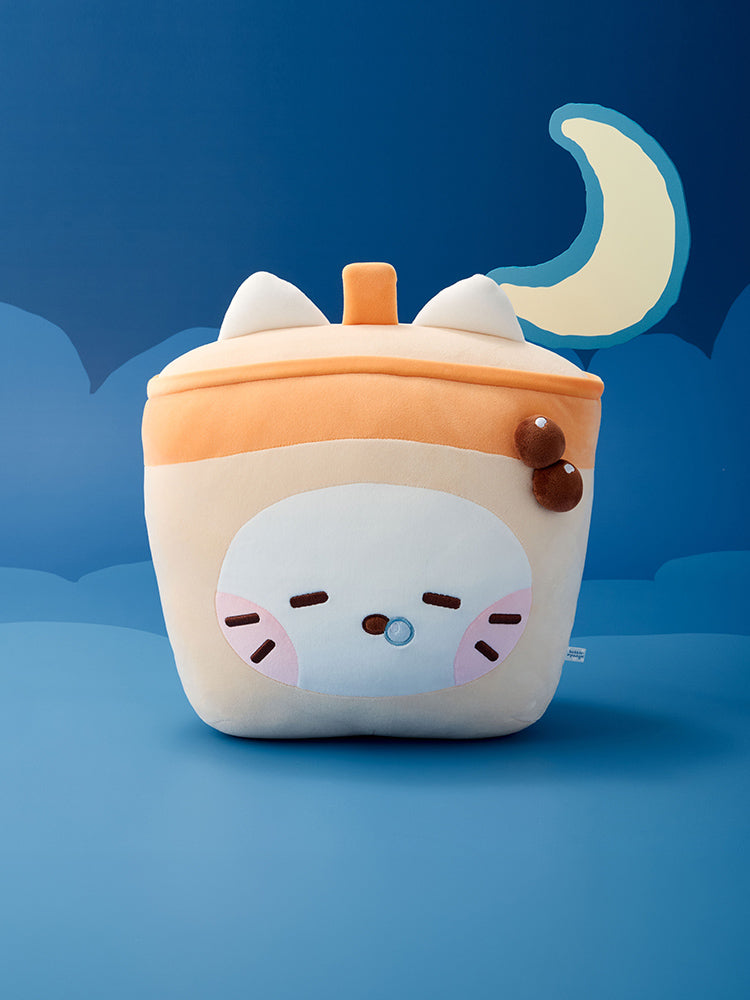 NCT WISH wishnini house MEDIUM PLUSH CUSHION