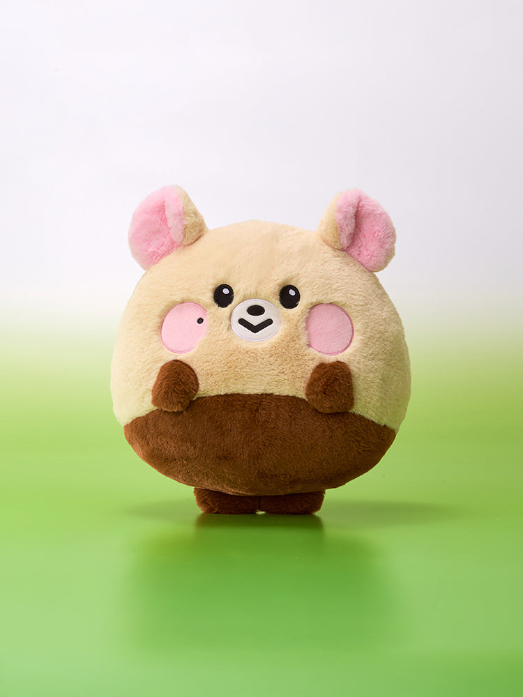 NCT DREAM 드리미즈 대형 플랫 쿠션