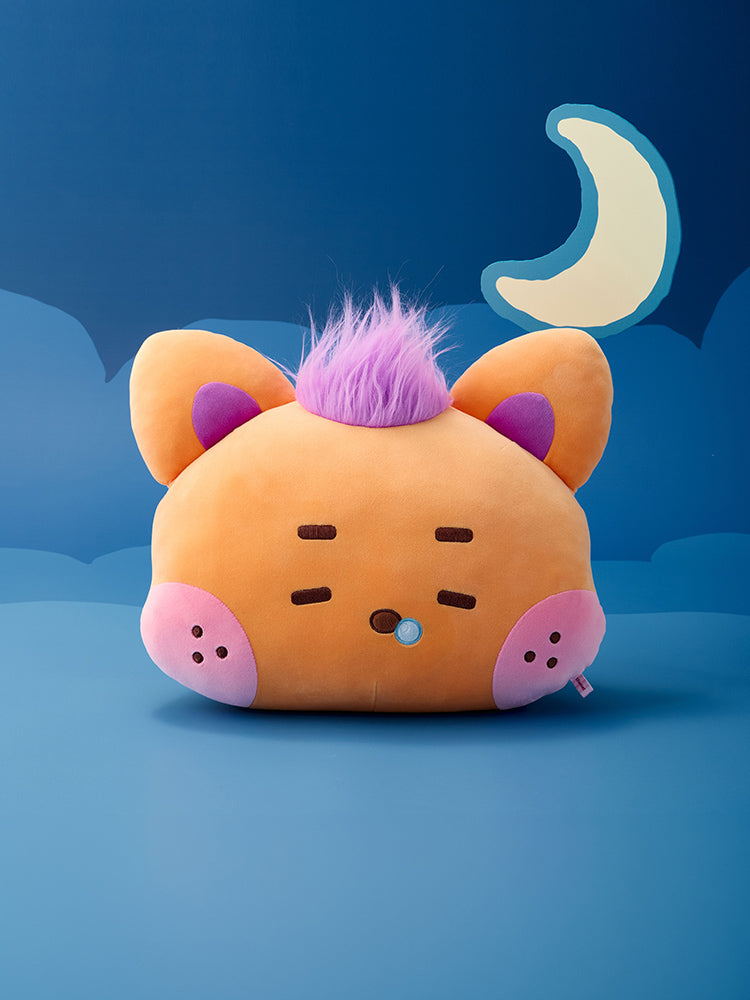 NCT WISH wishnini house MEDIUM PLUSH CUSHION