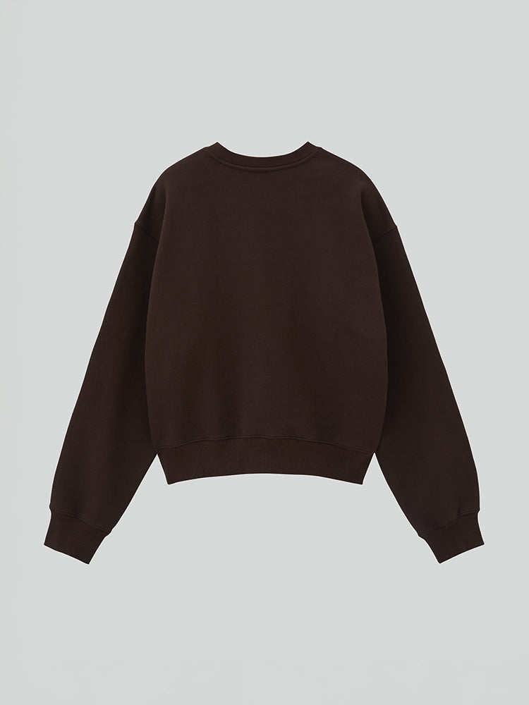 RECTO X BROWN LLEGE LOGO SWEATSHIRT (BROWN)