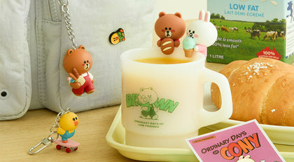 LINE FRIENDS ORDINARY DAYS