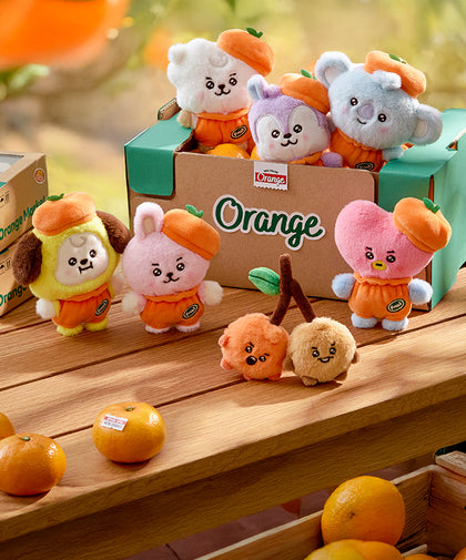 BT21 BABY ORANGE PARTY