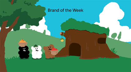WEEKLY BRAND🌟 DINOTAENG