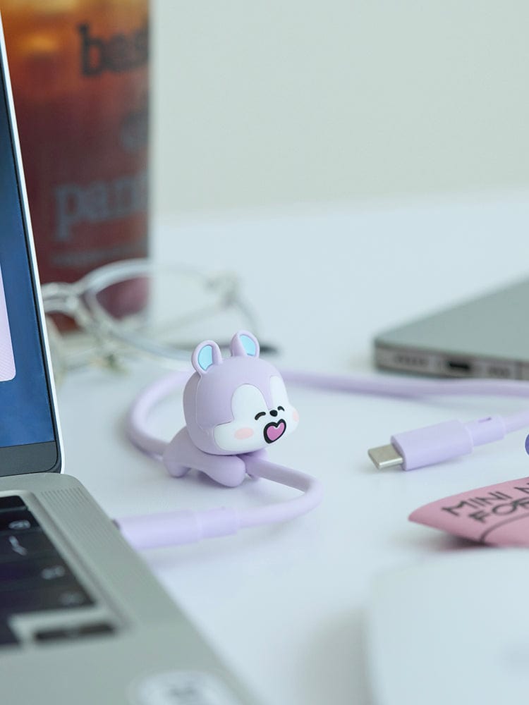 BT21 DIGITAL/ACC 단품 BT21 MANG 베이직 C 타입 케이블