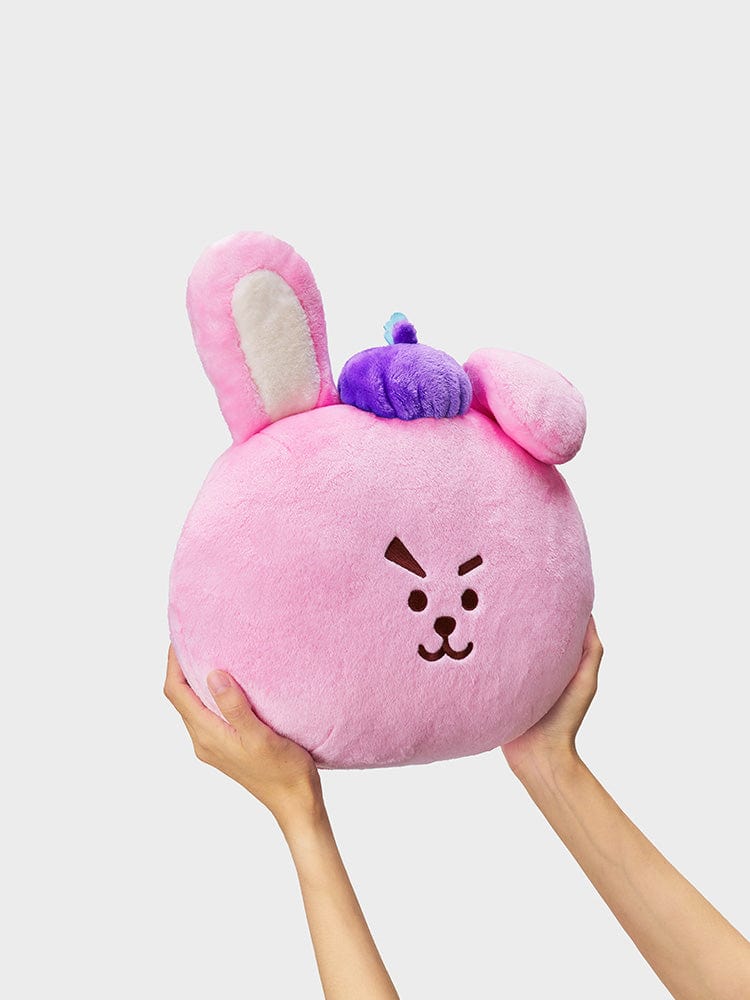 Bt21 Cooky Cushion Hope In Love – Line Friends Square