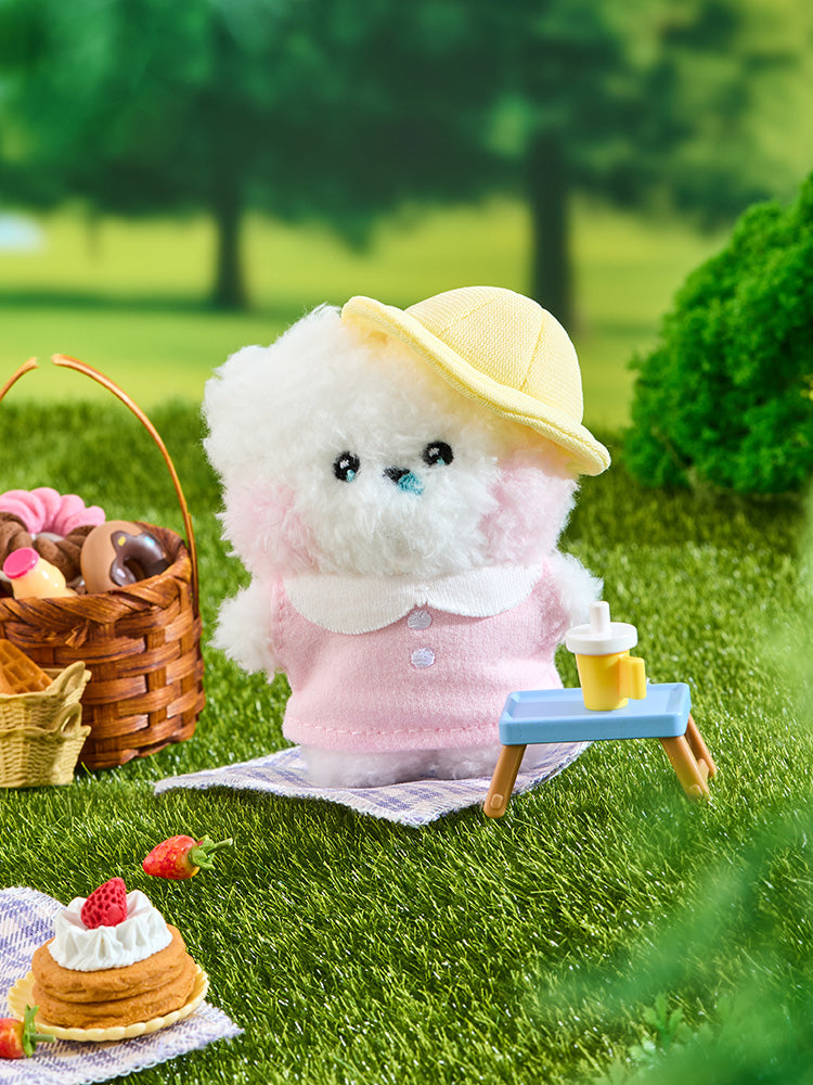 BT21 RJ mini minini PLUSH PICNIC MATE