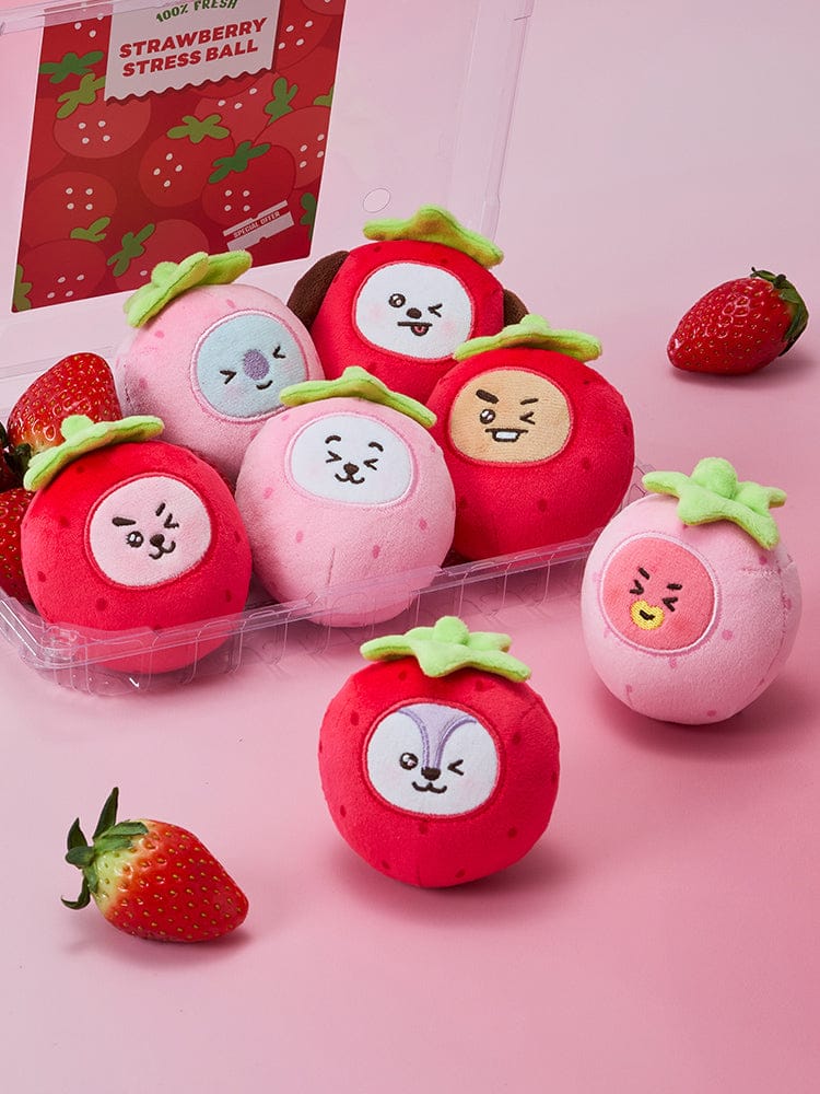 BT21 TOY_ BT21 딸기 파티 스트레스볼 인형