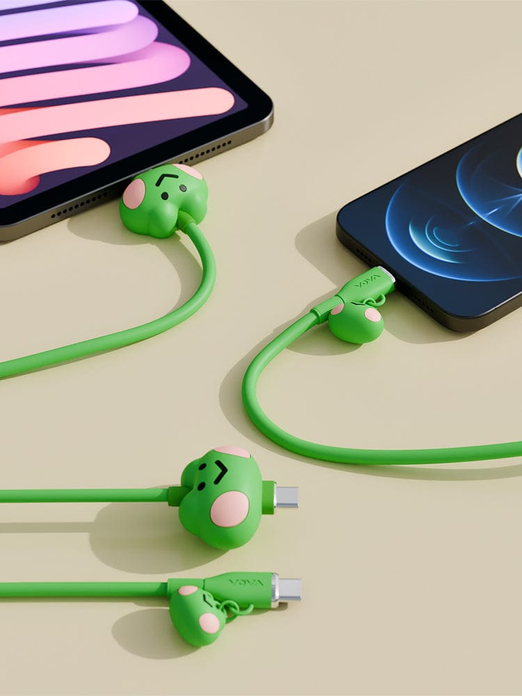 LINE FRIENDS minini lenini USB-C TO USB-C CABLE