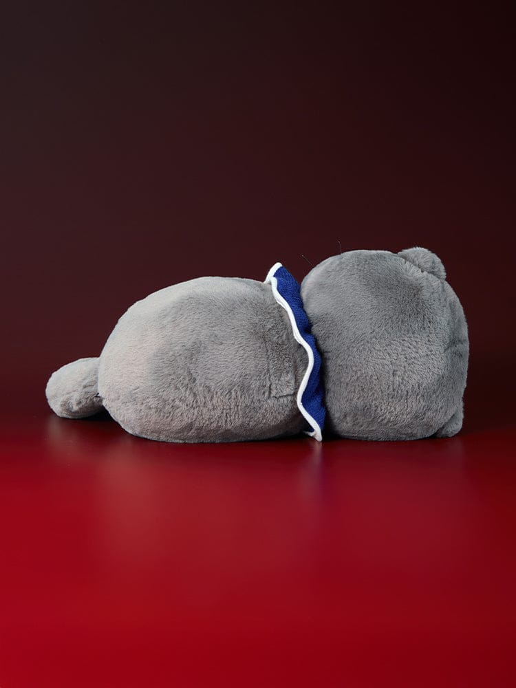 ZO&FRIENDS TOY_ ZOA 중형 인형 ZO&FRIENDS ZOA ZOAFUL WINTER 중형 인형